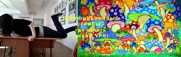 гидропоника Заводоуковск