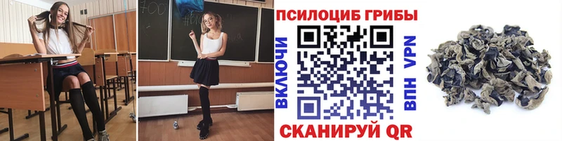 Купить  Губкинский  Галлюциногенные грибы ЛСД 