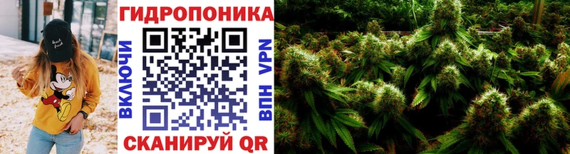 Бошки марихуана Amnesia  Купить закладки  Губкинский 